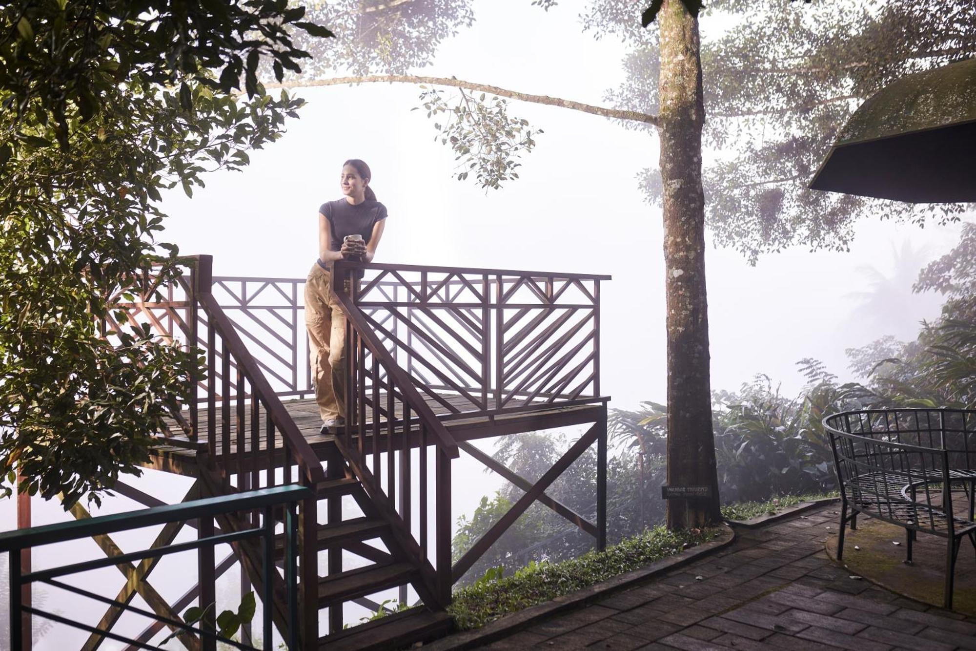 Forest Canopy Thekkady Ξενοδοχείο Εξωτερικό φωτογραφία