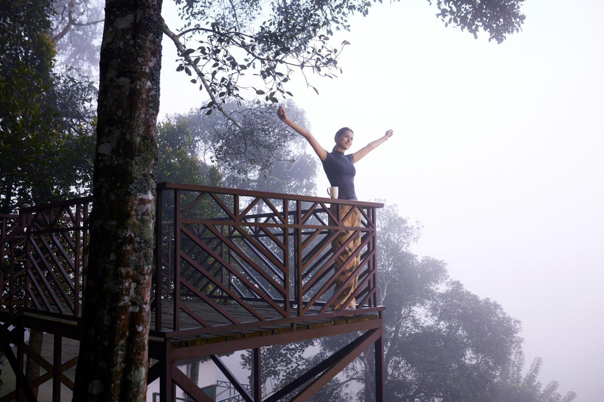 Forest Canopy Thekkady Ξενοδοχείο Εξωτερικό φωτογραφία